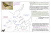 coo1d34 totaranui_thumb.gif